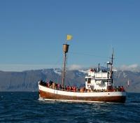 Optional:Snaefellsnes Boat Tour Optional:Snaefellsnes Boat Tour
